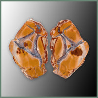 CMT188pr Cold Mountain Thunderegg Specimen Pair