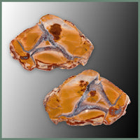 CMT188pr Cold Mountain Thunderegg Specimen Pair