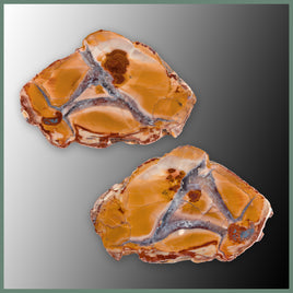 CMT188pr Cold Mountain Thunderegg Specimen Pair