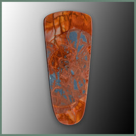 CMT192c Cold Mountain Thunderegg Cabochon
