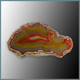 CON101FF Condor Agate Specimen