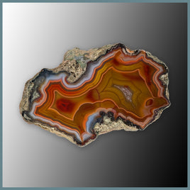 CON102FF Condor Agate Specimen