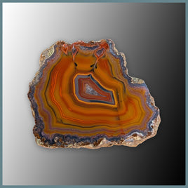 CON103FF Condor Agate Specimen