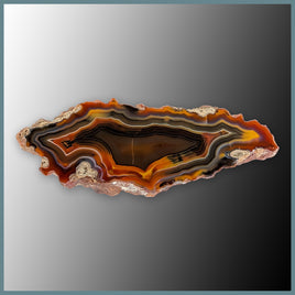 CON104FF Condor Agate Specimen