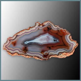 CON106FF Condor Agate Specimen