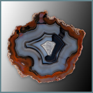 CON107FF Condor Agate Specimen