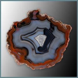 CON107FF Condor Agate Specimen
