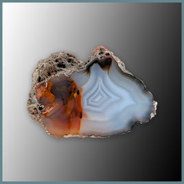 CON108FF Condor Agate Specimen