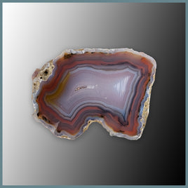 CON109FF Condor Agate Specimen
