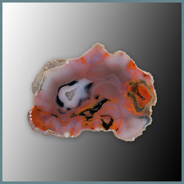 CON110FF Condor Agate Specimen