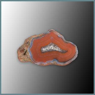 CON111FF Condor Agate Specimen