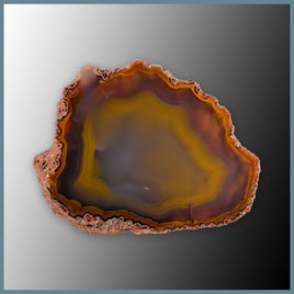CON114FF Condor Agate Specimen