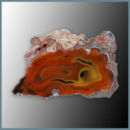 CON115FF Condor Agate Specimen