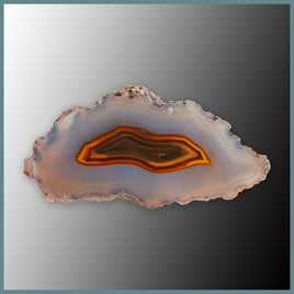 CON116FF Condor Agate Specimen