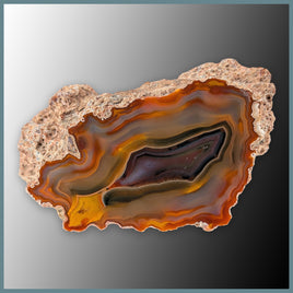 CON118FF Condor Agate Specimen