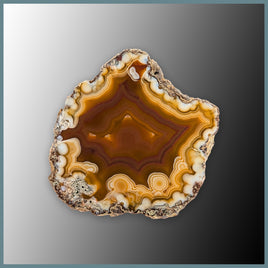 CON122FF Condor Agate Specimen