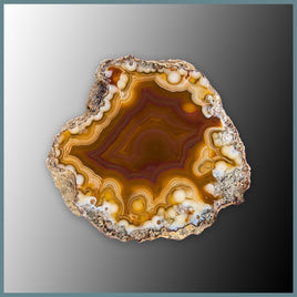 CON123FF Condor Agate Specimen