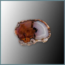 CON127FF Condor Agate Specimen
