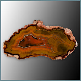 CON128FF Condor Agate Specimen
