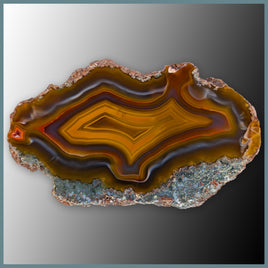 CON129FF Condor Agate Specimen