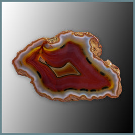 CON130FF Condor Agate Specimen
