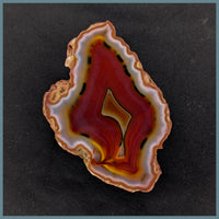 CON130FF Condor Agate Specimen