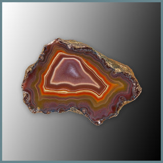 CON131FF Condor Agate Specimen