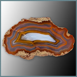 CON132FF Condor Agate Specimen