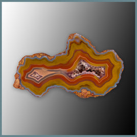 CON134FF Condor Agate Specimen