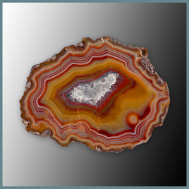 CON135FF Condor Agate Specimen