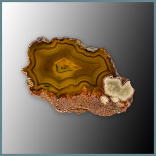 CON137FF Condor Agate Specimen