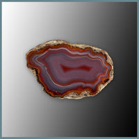 CON139FF Condor Agate Specimen
