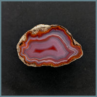 CON139FF Condor Agate Specimen
