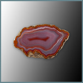 CON140FF Condor Agate Specimen
