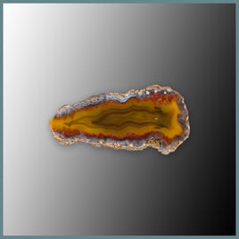 CON141FF Condor Agate Specimen