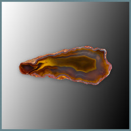 CON142FF Condor Agate Specimen