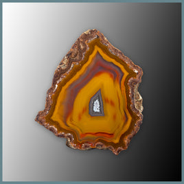 CON143FF Condor Agate Specimen