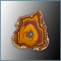 CON144FF Condor Agate Specimen