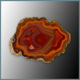 CON145FF Condor Agate Specimen