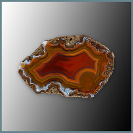 CON146FF Condor Agate Specimen