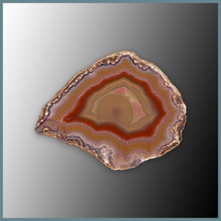 CON147FF Condor Agate Specimen