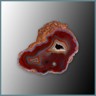 CON148FF Condor Agate Specimen