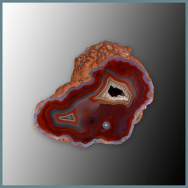 CON148FF Condor Agate Specimen