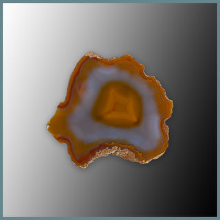 CON149FF Condor Agate Specimen