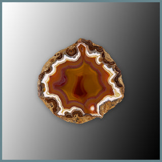 CON153FF Condor Agate Specimen
