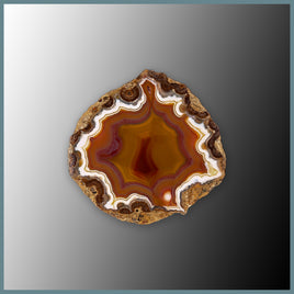 CON153FF Condor Agate Specimen