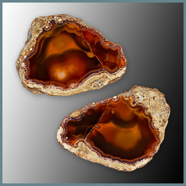 CON154FFpr Condor Agate Specimen Pair