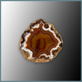 CON155FF Condor Agate Specimen