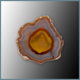 CON156FF Condor Agate Specimen