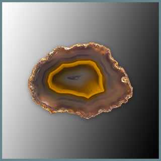 CON157FF Condor Agate Specimen
